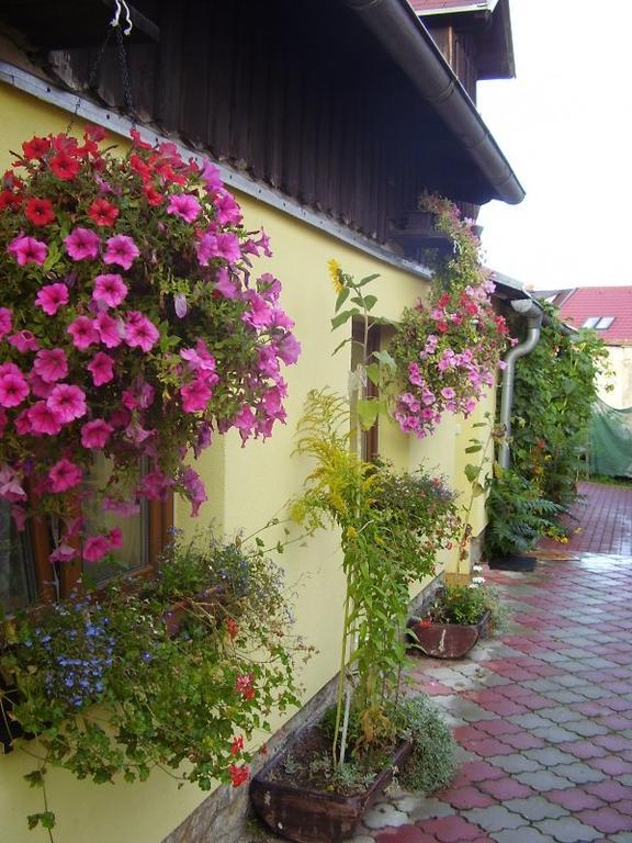 Penzion Many Peny Jindřichův Hradec Exterior foto
