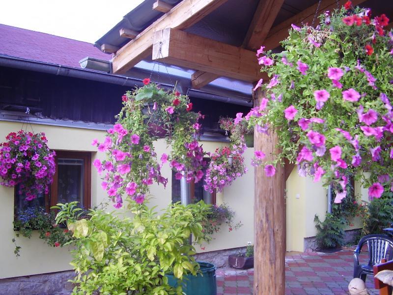 Penzion Many Peny Jindřichův Hradec Exterior foto